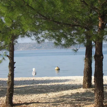 Apartment Holiday 193346 Brodarica (Sibenik-Knin)