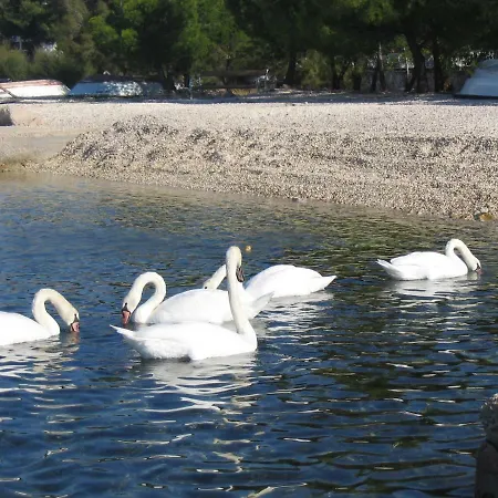 Holiday 193346 Apartment Brodarica (Sibenik-Knin)